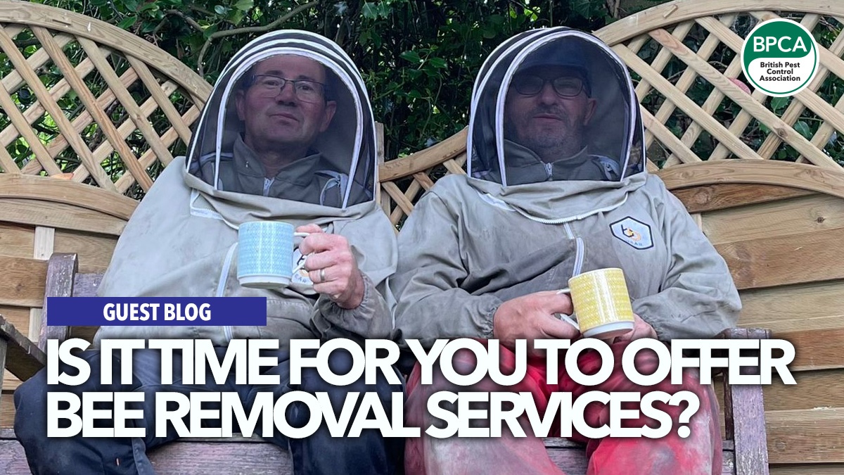 bee-removals-abm-pest-control-hero bee-removals-abm-pest-control-hero